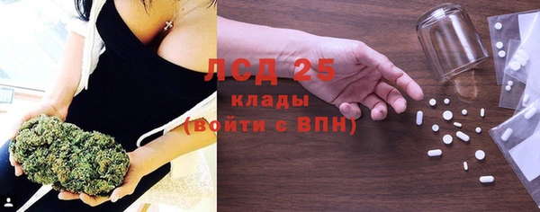 индика Абинск