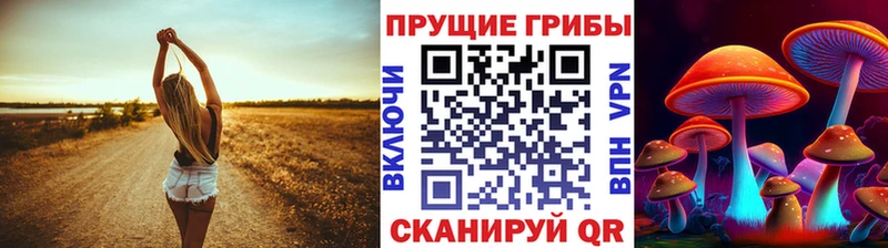 Псилоцибиновые грибы GOLDEN TEACHER гидра tor Дербент